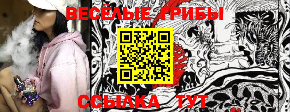 Cocaine  Каменск-Шахтинский  Меф МЯУ МЯУ кристаллы  LSD-25  Вход с VPN  Марихуана  Кодеин  КЕТАМИН 